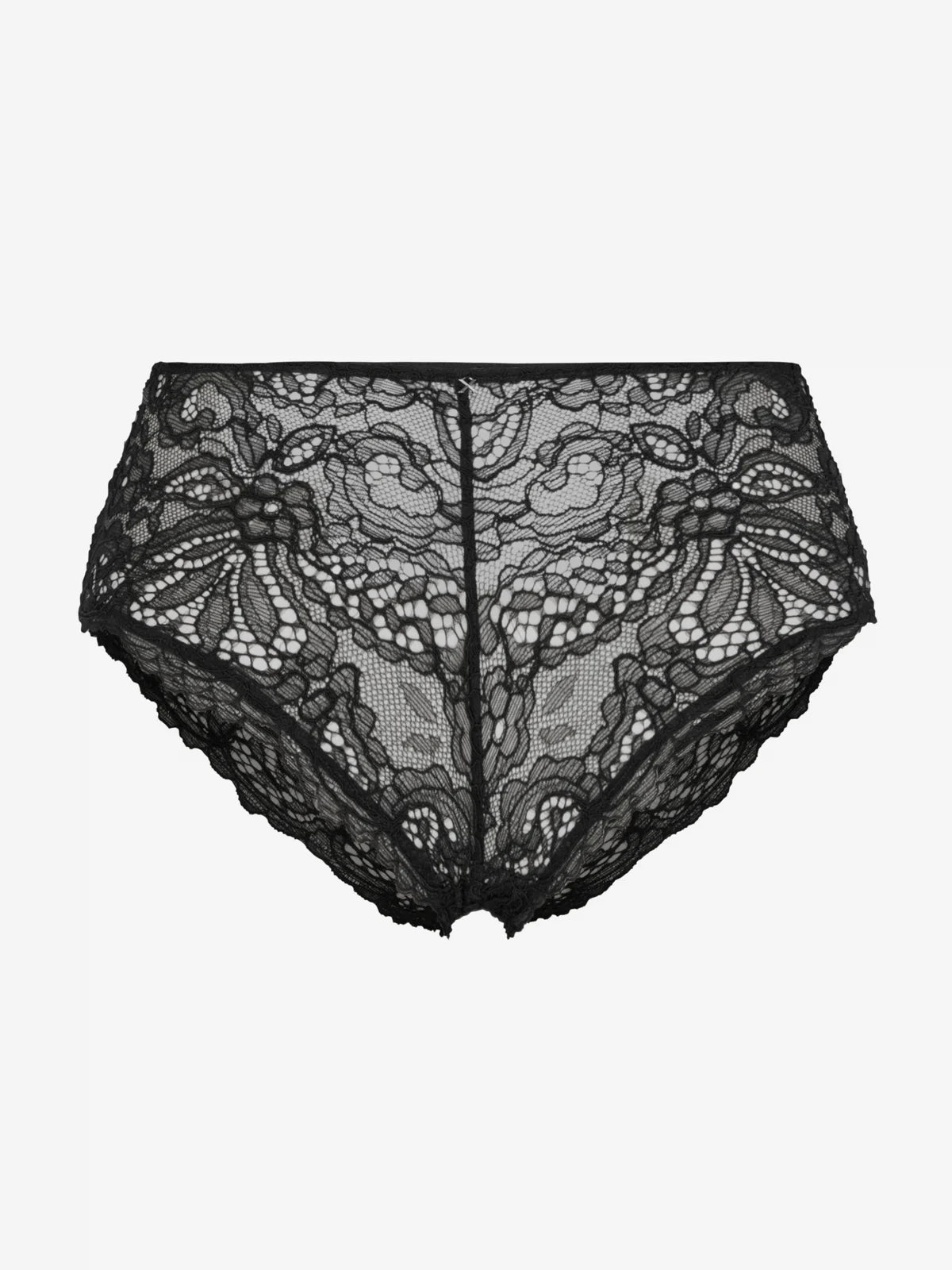 Romantic Corded Lace Hipster Medium